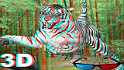 Pop Out 3D Pictures & Avi-Music By ENYA-SAIL AWAY-3D Glasses Needed